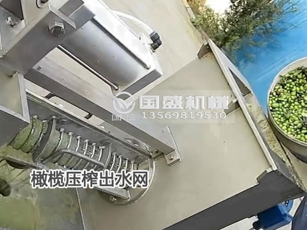 黄瓜视频色版橄榄脱水机