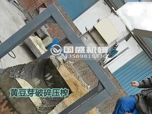 黄瓜视频色版黄豆芽固液分离机