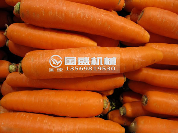 黄瓜视频色版胡萝卜脱水挤压机 黄瓜视频色版胡萝卜脱水挤压机