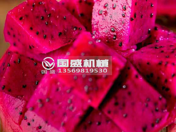黄瓜视频色版火龙果挤压脱水设备