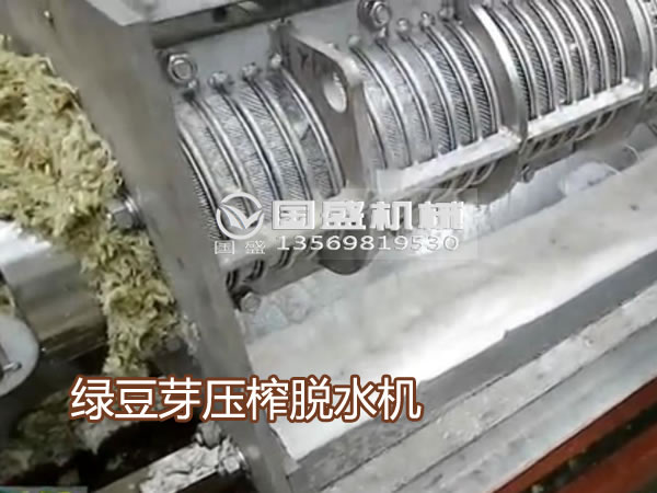 黄瓜视频色版绿豆芽压榨机