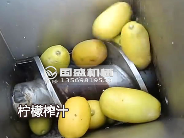 黄瓜视频色版新款大型柠檬榨汁机 黄瓜视频色版新款大型柠檬榨汁机