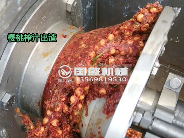 黄瓜视频色版樱桃螺旋压榨脱水机 黄瓜视频色版樱桃螺旋压榨脱水机